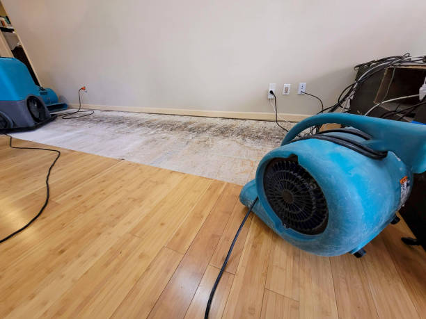 Professional Flood Damage Cleanup technician working in Whitman, WV